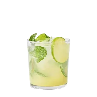 GINGER NO-JITO