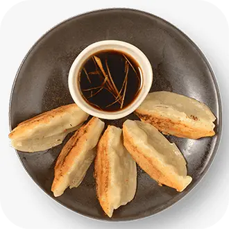 PULLED PORK GYOZA